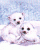 /album/medved-ledni/medved-ledni-005-gif/